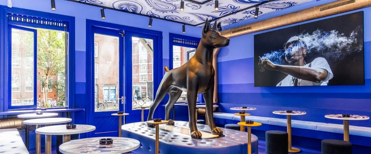 Snoop Dogg Coffee Shop Amsterdam SWED